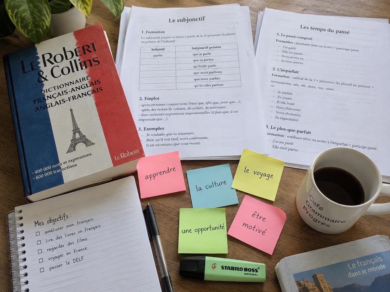 French grammar worksheets, dictionary and vocabulary notes on a table